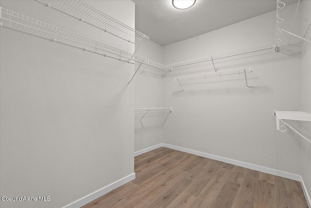 walk in closet with wood finished floors