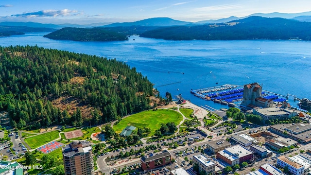 822 E Wallace Ave, Coeur Dalene, ID 83814 - bird's eye view featuring a water and mountain view