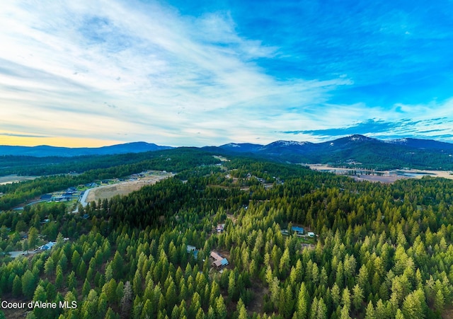 mountain view with a wooded view