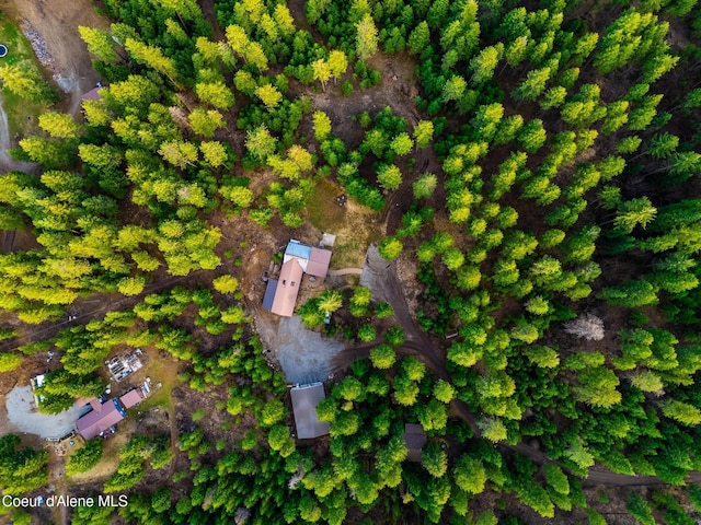 bird's eye view