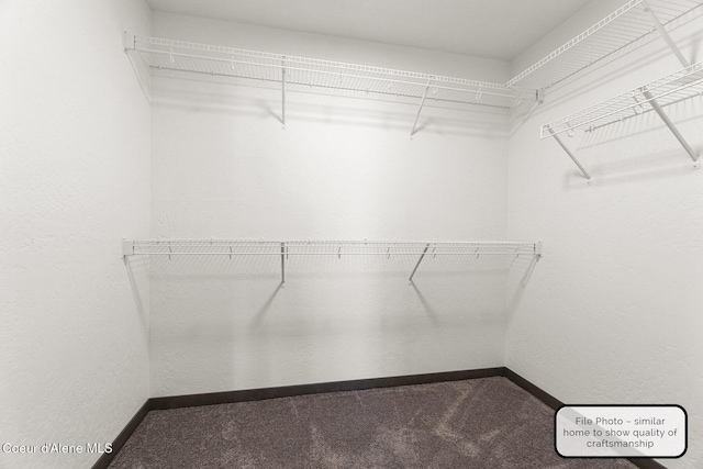 LT7BLK1 E Valley St, Oldtown, ID 83822 - walk in closet with carpet flooring