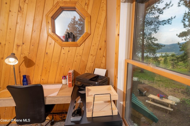 office featuring wood walls