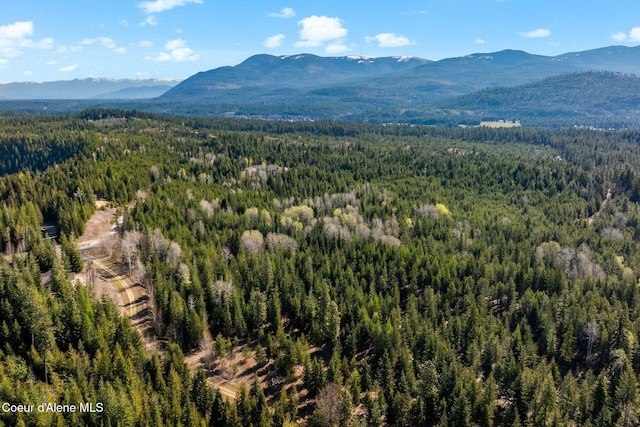 150 Ranch Rd, Naples, ID 83847