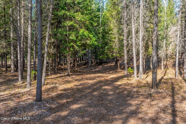 150 Ranch Rd, Naples, ID 83847