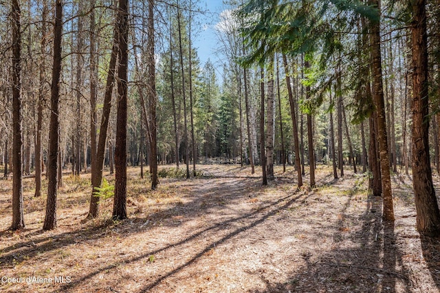 150 Ranch Rd, Naples, ID 83847