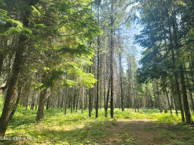 150 Ranch Rd, Naples, ID 83847