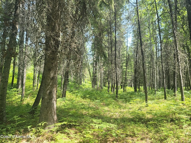 150 Ranch Rd, Naples, ID 83847