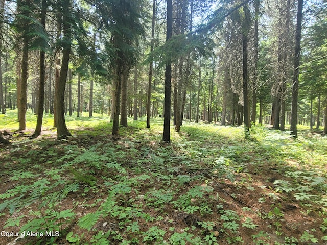 150 Ranch Rd, Naples, ID 83847