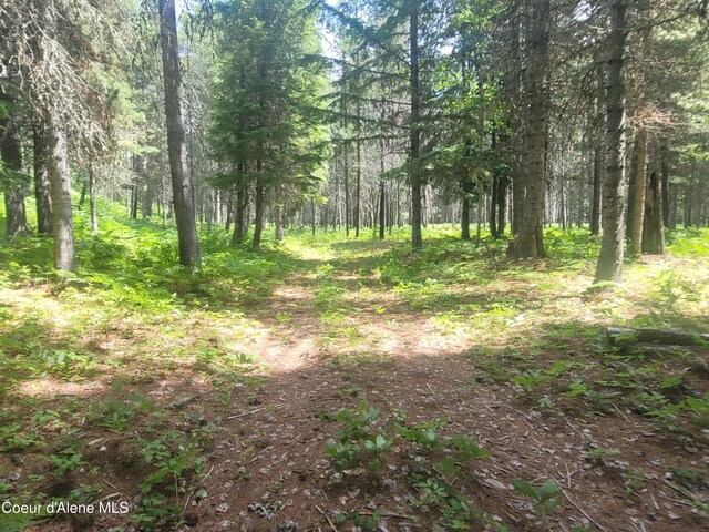 150 Ranch Rd, Naples, ID 83847 - photo 10
