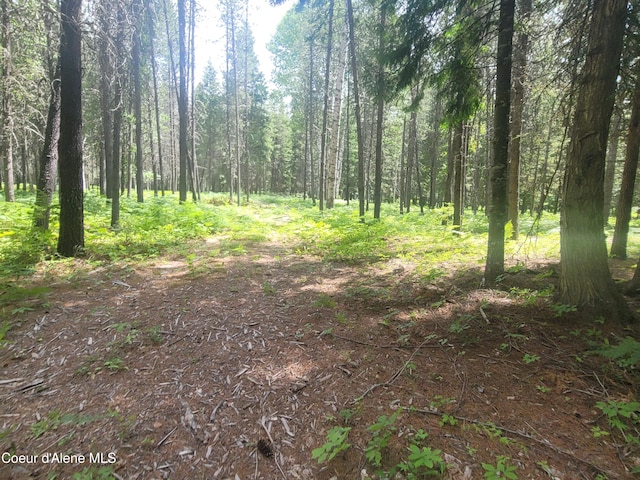 150 Ranch Rd, Naples, ID 83847 - photo 11