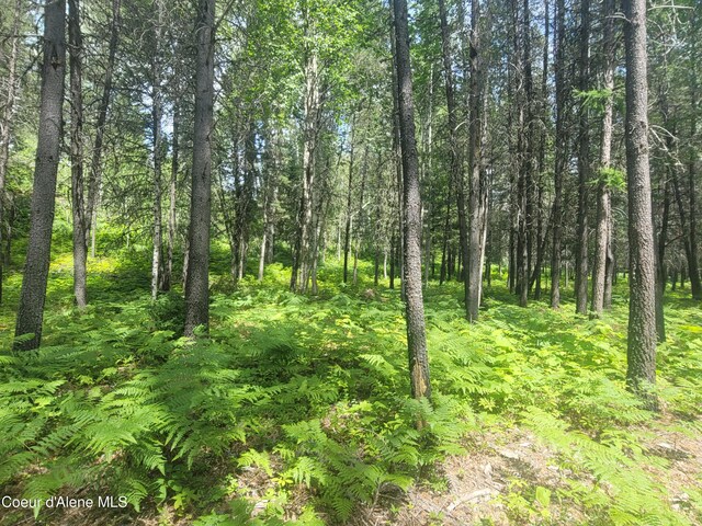 150 Ranch Rd, Naples, ID 83847 - photo 12