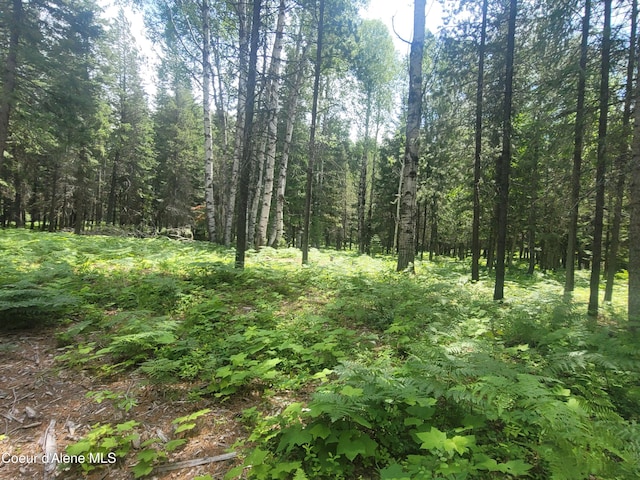 150 Ranch Rd, Naples, ID 83847 - photo 13