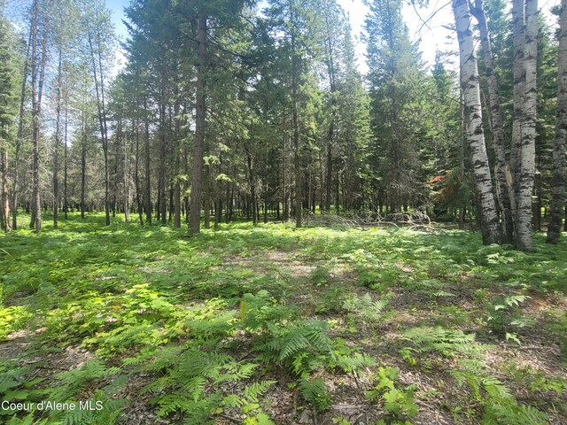 150 Ranch Rd, Naples, ID 83847 - photo 14