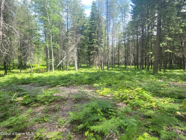 150 Ranch Rd, Naples, ID 83847 - photo 15