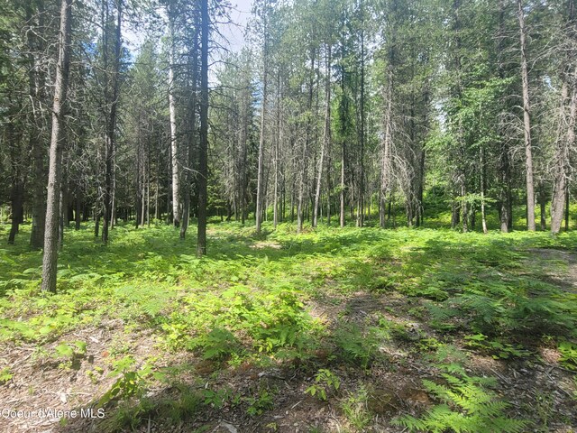 150 Ranch Rd, Naples, ID 83847 - photo 16