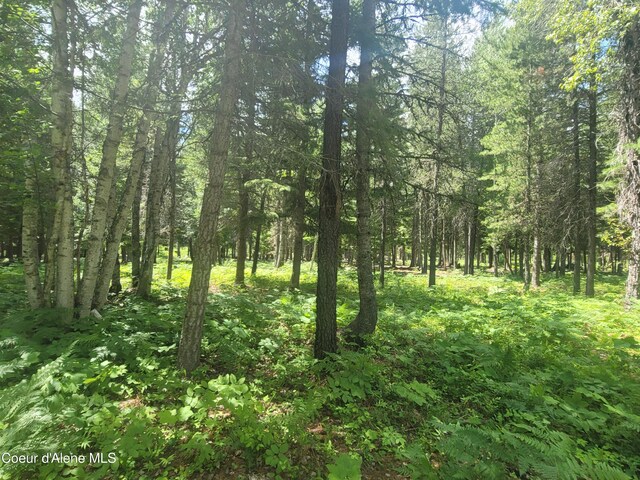 150 Ranch Rd, Naples, ID 83847 - photo 19