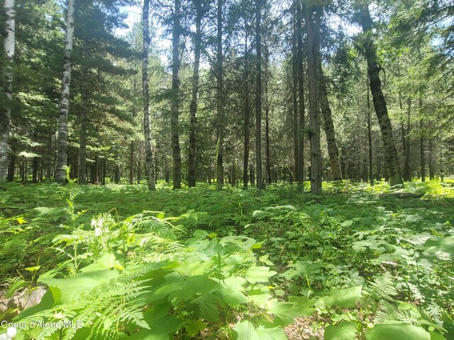 150 Ranch Rd, Naples, ID 83847 - photo 21