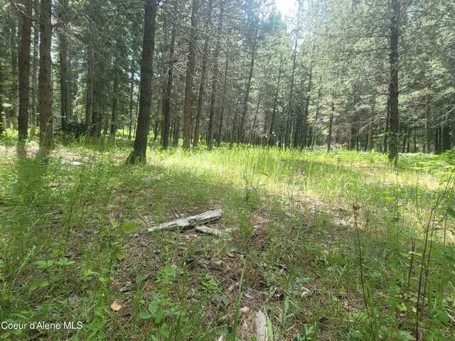 150 Ranch Rd, Naples, ID 83847 - photo 22