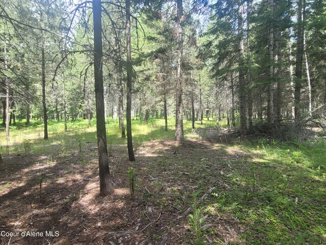 150 Ranch Rd, Naples, ID 83847 - photo 23