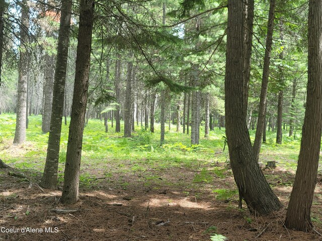150 Ranch Rd, Naples, ID 83847 - photo 28