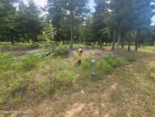 150 Ranch Rd, Naples, ID 83847 - photo 30