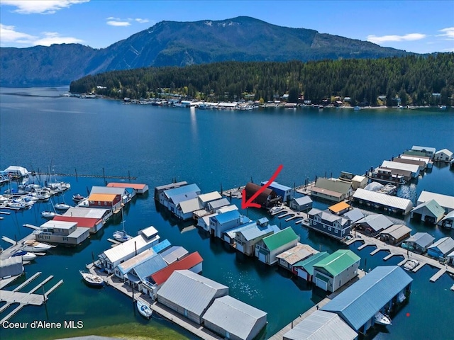 34128 N Scenic Bay D Dock Unit 21, Bayview, ID 83803 - bird's eye view with a forest view and a water and mountain view