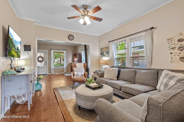 living room with ornamental molding, a ceiling fan, and wood-type flooring