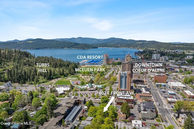 drone / aerial view with a water and mountain view and a view of trees