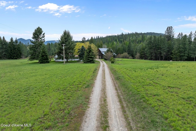 view of street featuring dirt driveway, a rural view, a wooded view, and a mountain view