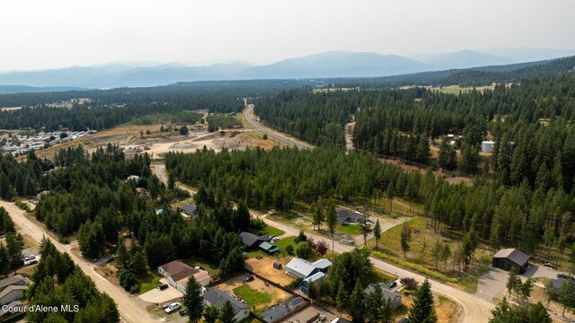 186 Elk Rd, Moyie Springs, ID 83845 - photo 8