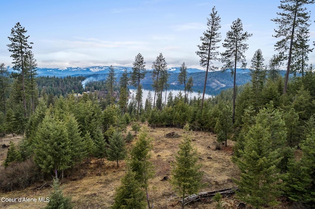 7159 S Buckrail Rd, Harrison, ID 83833