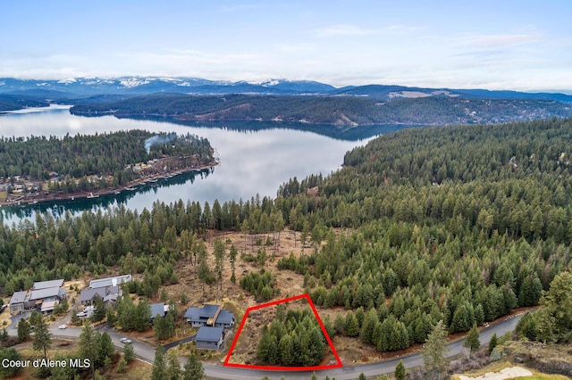 7159 S Buckrail Rd, Harrison, ID 83833