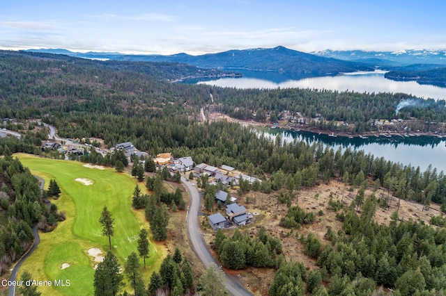 7159 S Buckrail Rd, Harrison, ID 83833
