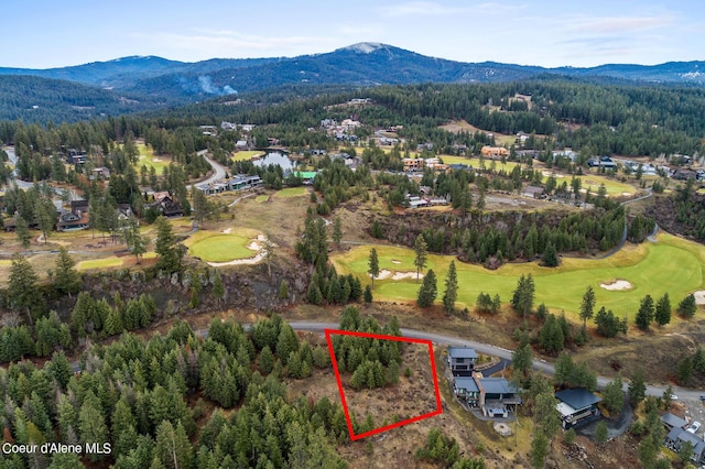 7159 S Buckrail Rd, Harrison, ID 83833