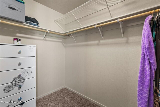 2097 W Calawah Ave, Post Falls, ID 83854 - walk in closet with carpet floors