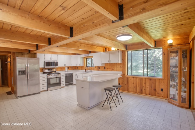 31582 E Hayden Lake Rd, Hayden, ID 83835 - kitchen with a sink, wooden ceiling, plenty of natural light, and appliances with stainless steel finishes