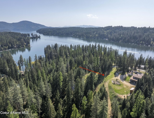 31582 E Hayden Lake Rd, Hayden, ID 83835 - birds eye view of property with a water and mountain view and a wooded view