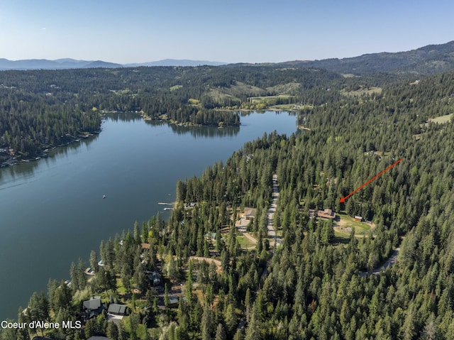 31582 E Hayden Lake Rd, Hayden, ID 83835 - birds eye view of property featuring a water and mountain view and a forest view