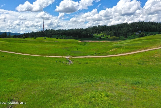 L199 S Basalt Dr, Coeur Dalene, ID 83814