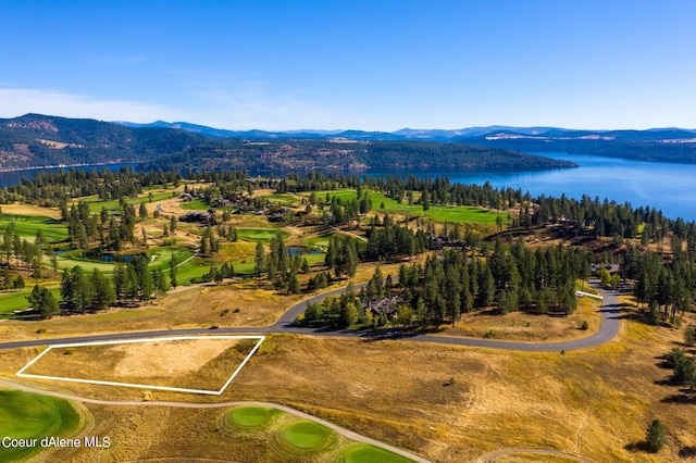 L199 S Basalt Dr, Coeur Dalene, ID 83814