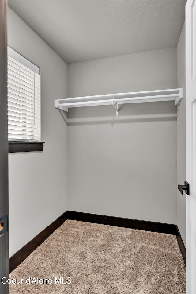 2878 N Callary St, Post Falls, ID 83854 - walk in closet with carpet flooring