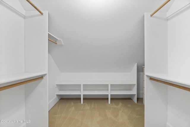 306 S Huron Ave, Sandpoint, ID 83864 - walk in closet with light carpet