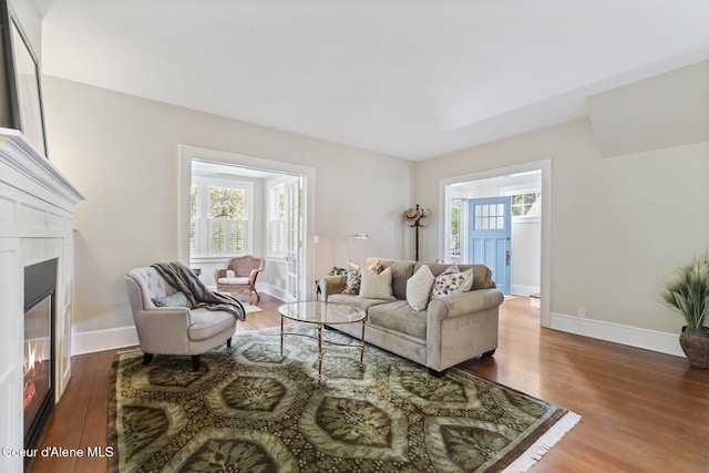 306 S Huron Ave, Sandpoint, ID 83864 - living room featuring wood finished floors, baseboards, and a glass covered fireplace