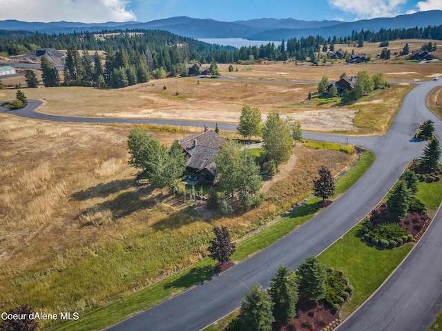 16829 S Basalt Dr, Coeur Dalene, ID 83814