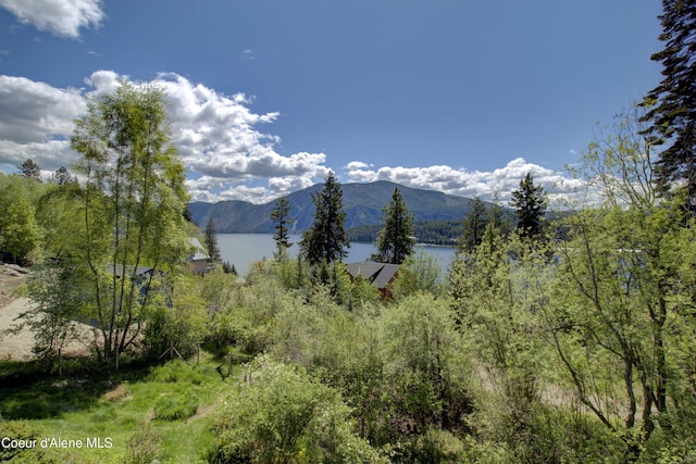 17718 E Cape Horn Rd, Bayview, ID 83803 - view of mountain background featuring a nearby body of water