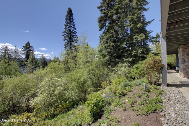 17718 E Cape Horn Rd, Bayview, ID 83803 - view of nature