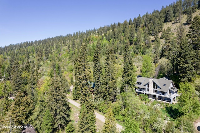 17718 E Cape Horn Rd, Bayview, ID 83803 - view of subject property featuring a heavily wooded area