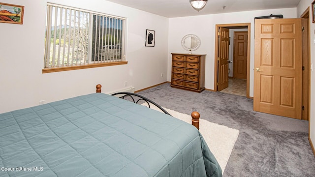 6616 Comanche St, Bonners Ferry, ID 83805 - bedroom featuring a baseboard radiator, carpet, and baseboards