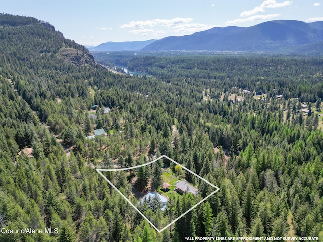 bird's eye view with a wooded view and a mountain view