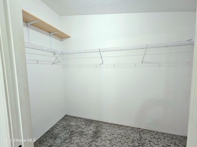657 Bear Claw Rd, Clark Fork, ID 83811 - spacious closet featuring carpet flooring